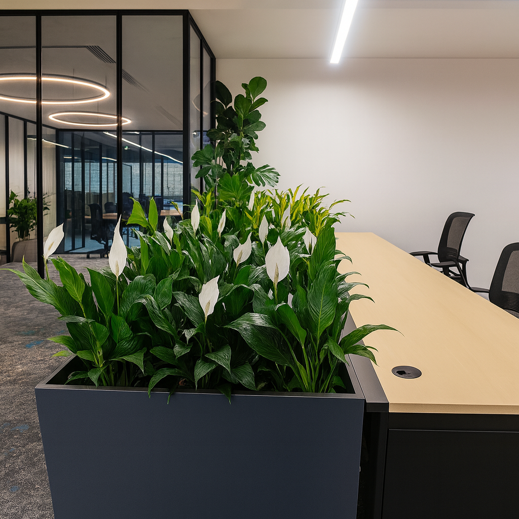 Modern-Office-With-Peace-Lily-Planter-DSLR-Style