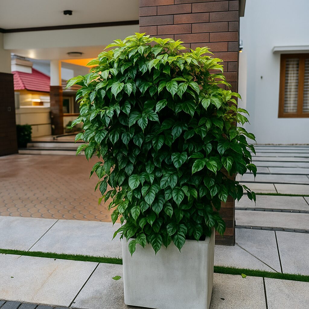 Modern_Villa_Entrance_Planter