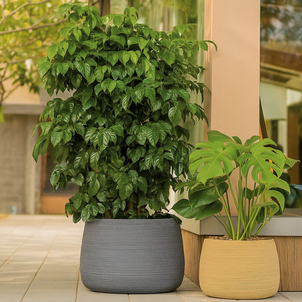Outdoor_ModernPlanters_TerraceView