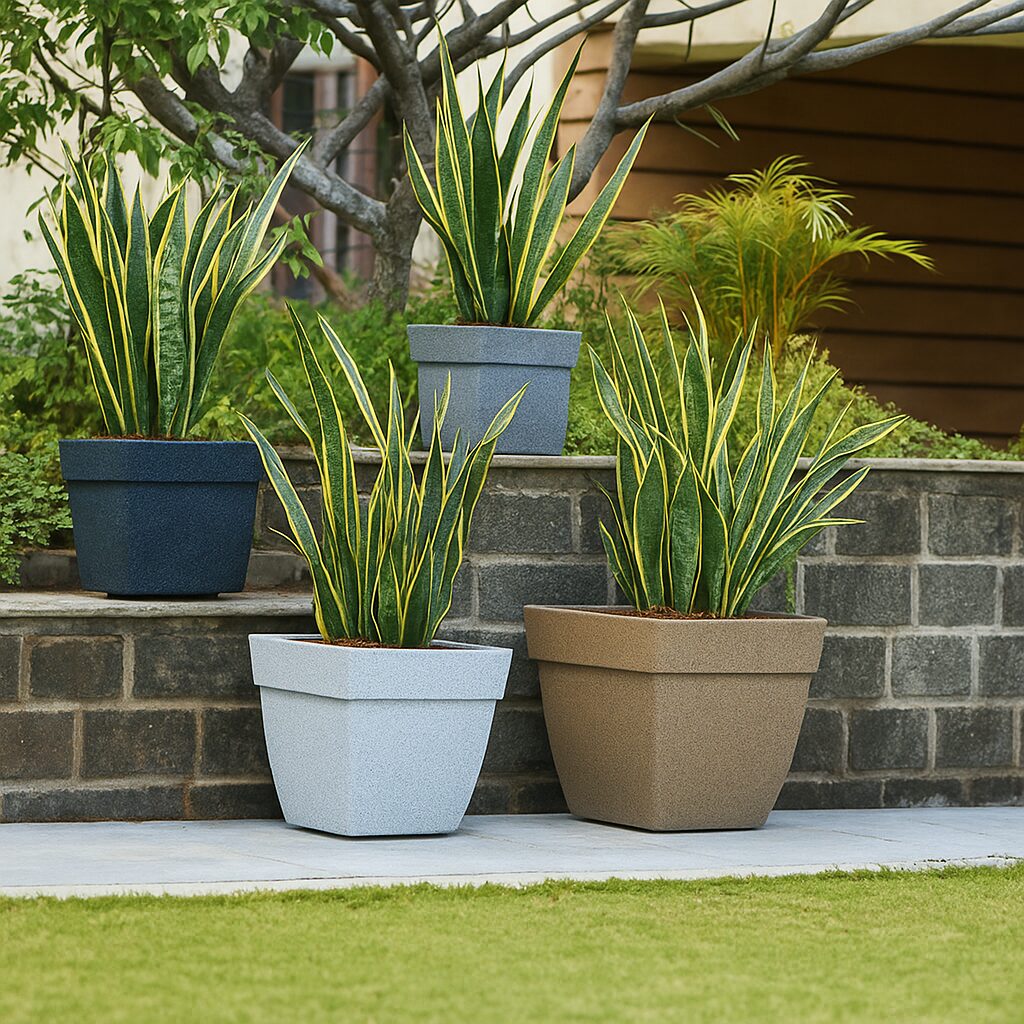 Snake_Plant_Stone_Planters_Garden_Display_1500x1500