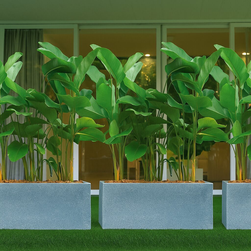 Tropical_Rectangular_Planters_1500x1500