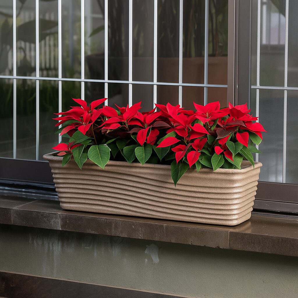 Window_Planter_Poinsettia_1500x1500