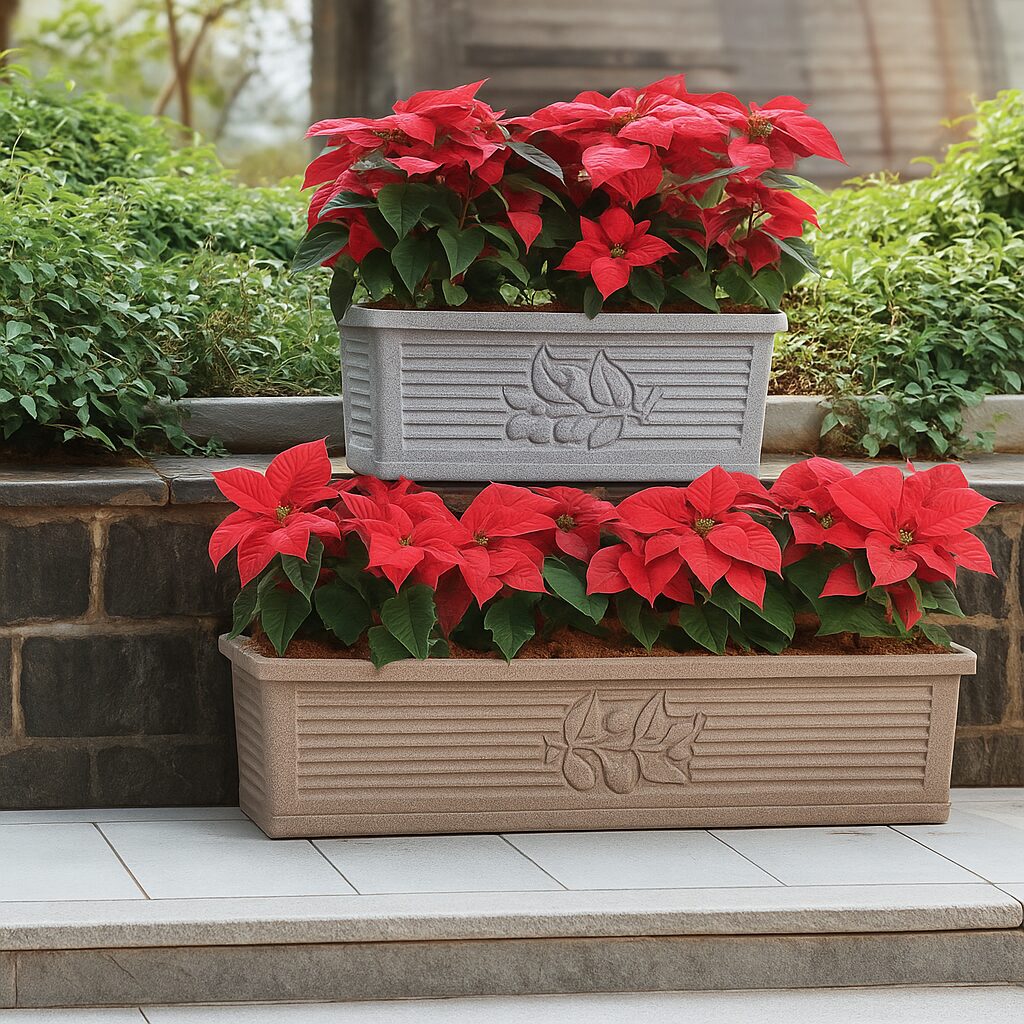 poinsettia_planter_steps_architectural_style