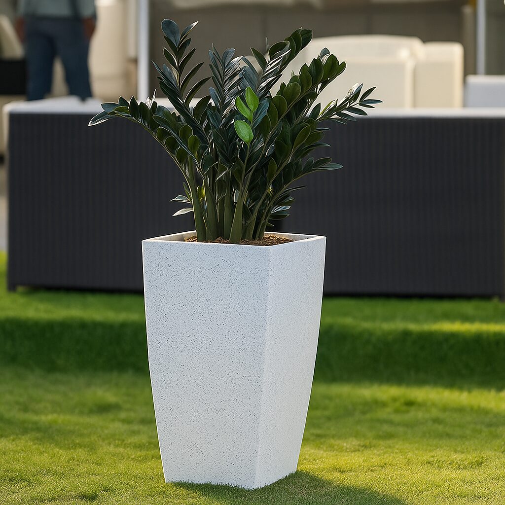 zz_plant_tall_white_planter_architectural_style